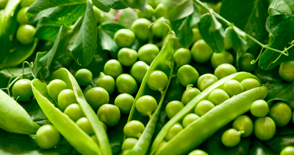 ce se plantează în martie shutterstock