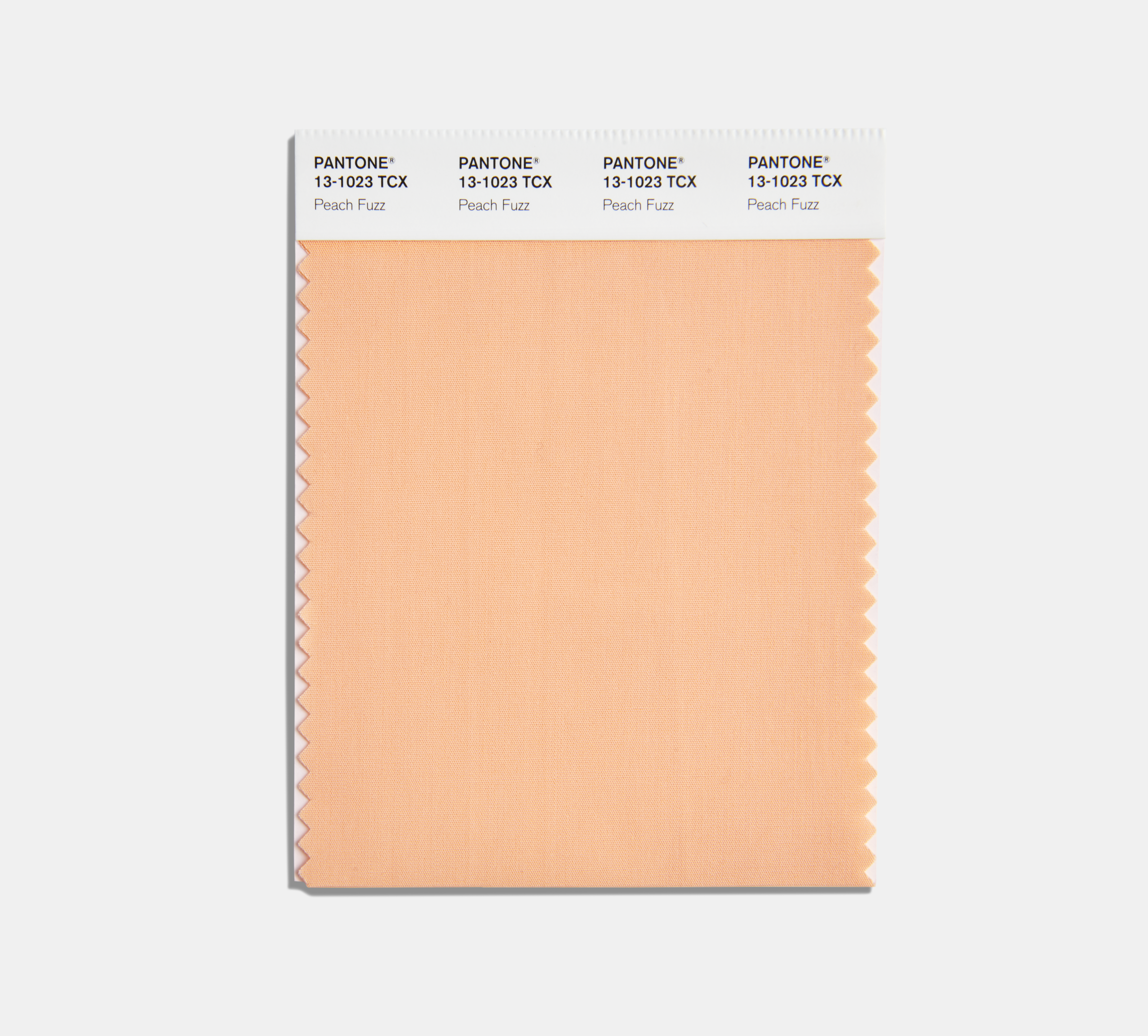 culoare pantone 2024