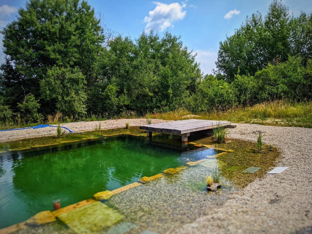 Domnul din Valea lui Enache