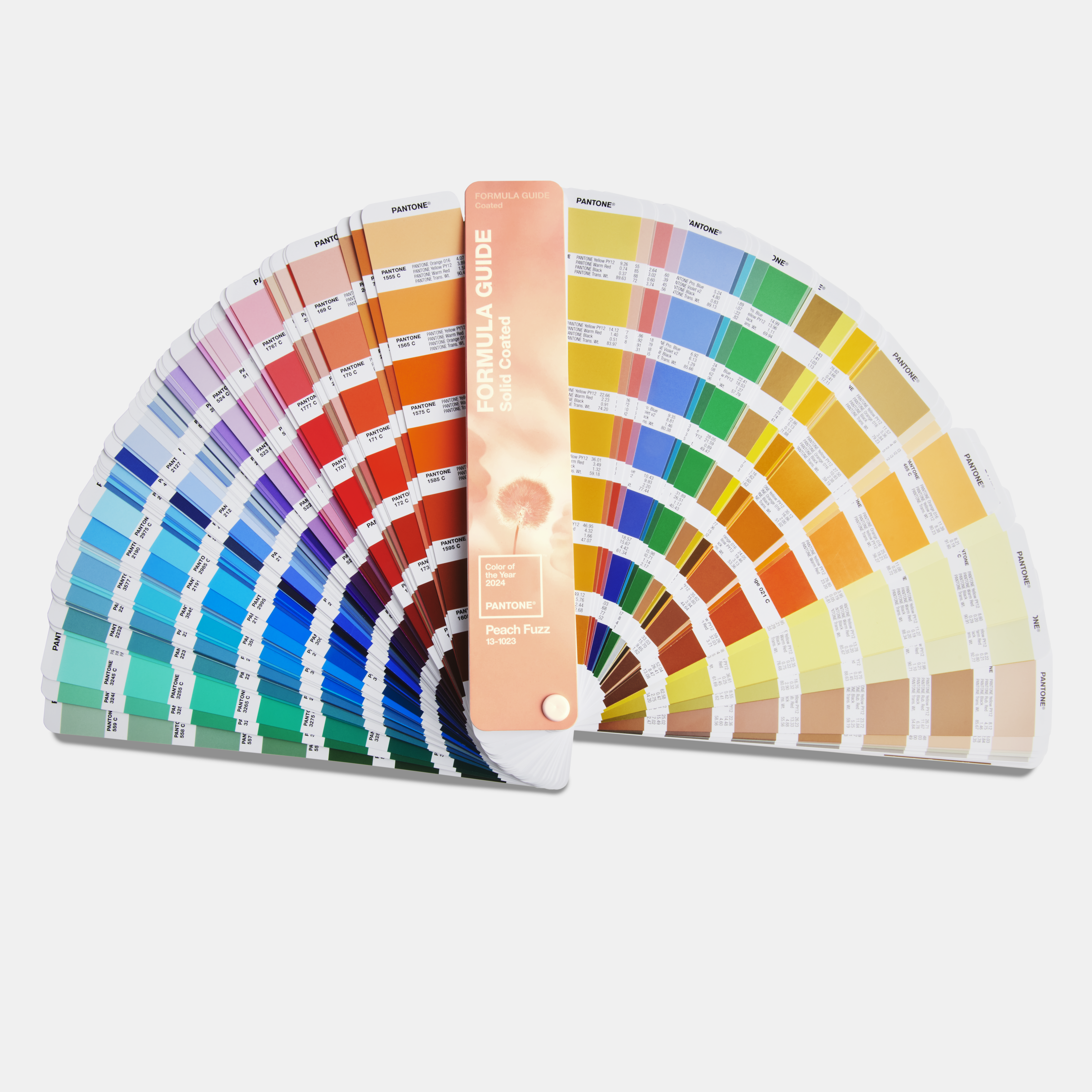 pantone culoare 2024