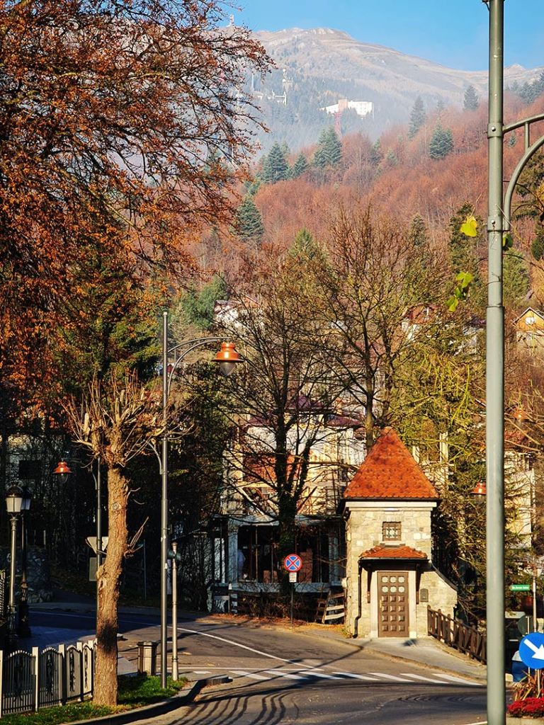 Tiny T5 FOTO: LAMA arhitectura