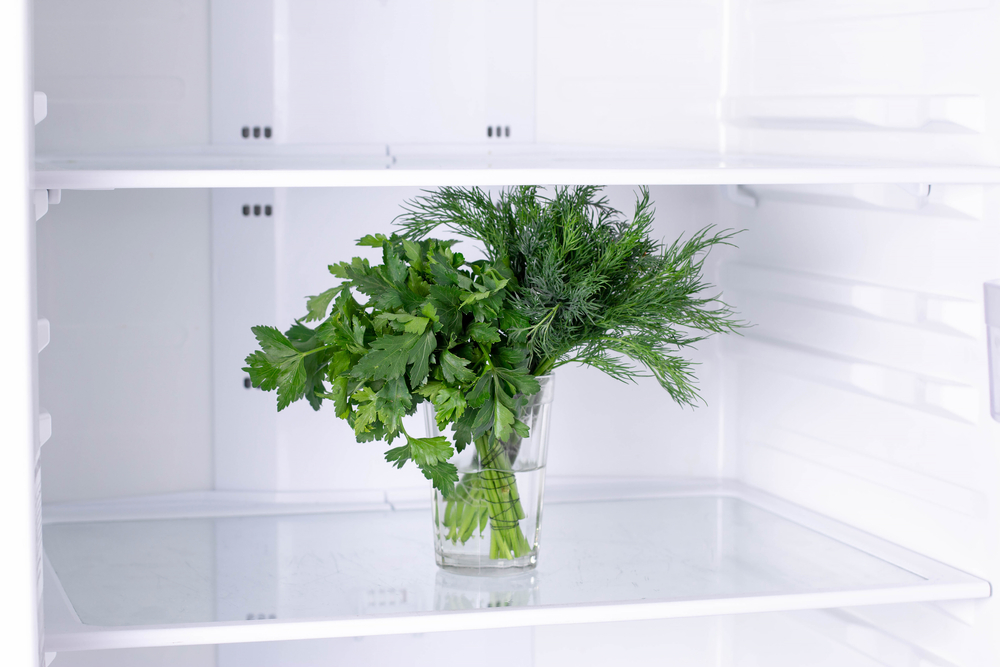 trucuri sa revitalizezi verdeturile ofilite shutterstock