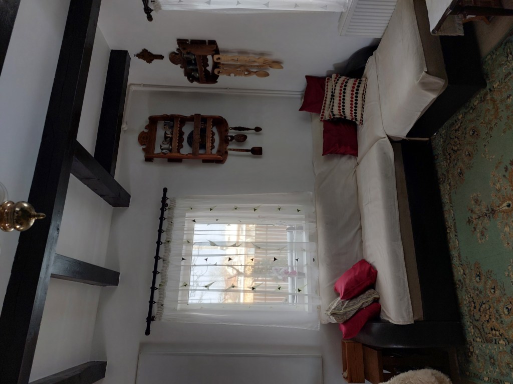 Cabana și curtea lui Dan