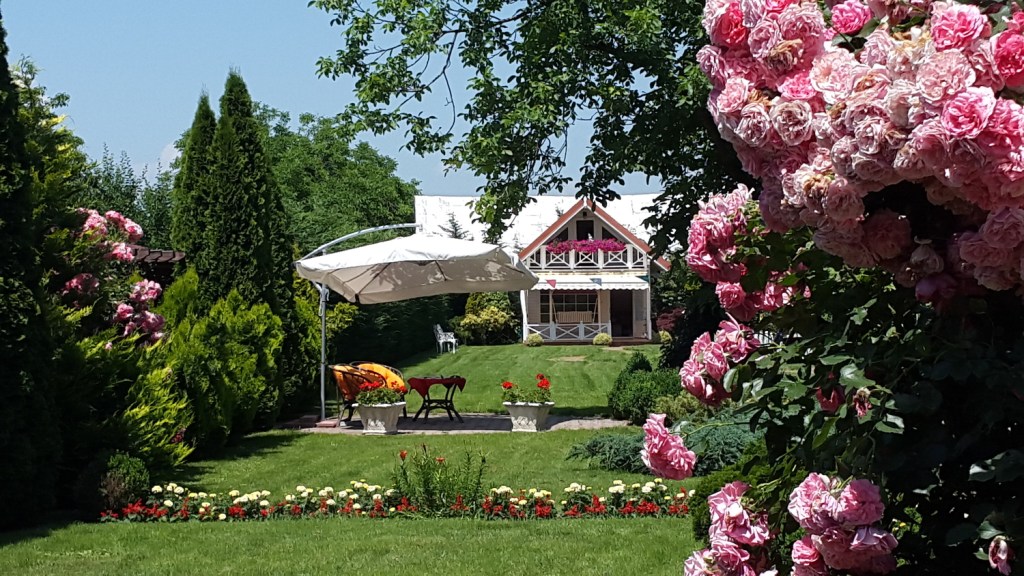 Odată cu renovarea, Alin a descoperit cât de mult îi place grădinăritul pur estetic