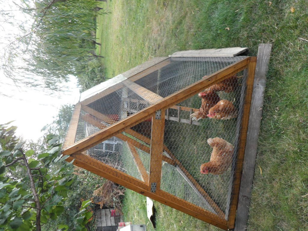 Cabana și curtea lui Dan