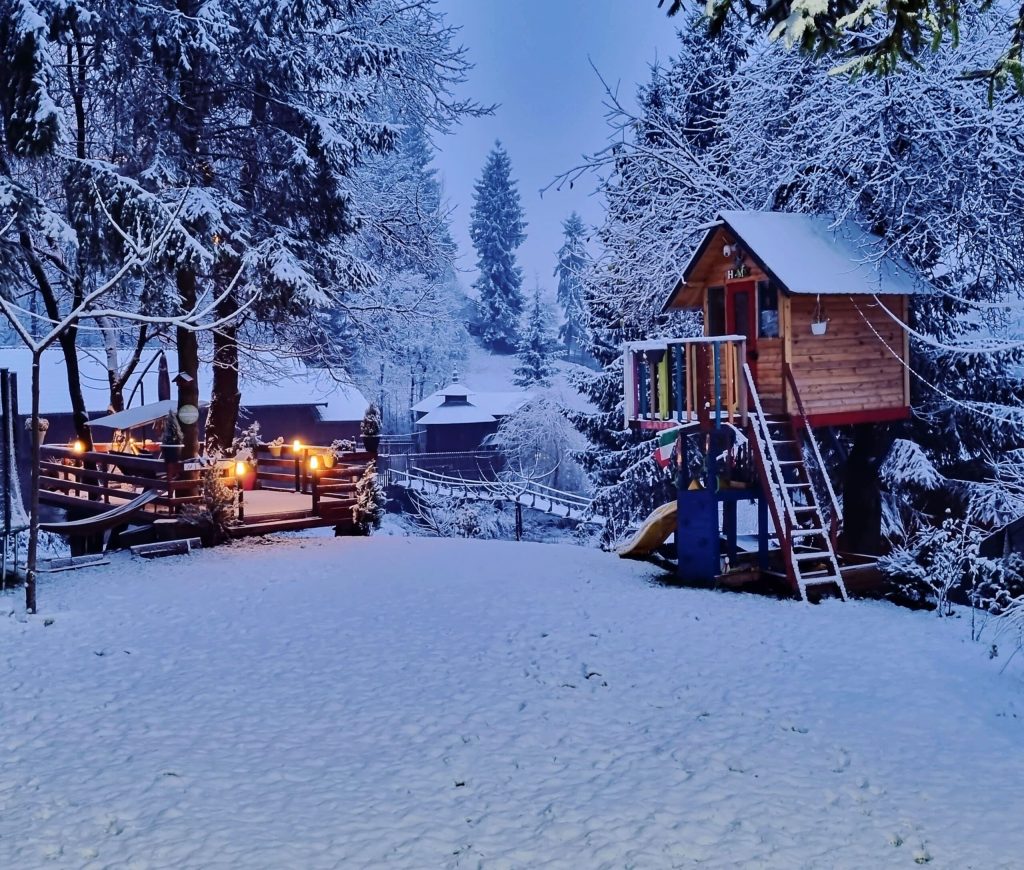 Căsuța din copac este o adevărată atracție pentru cei mici
