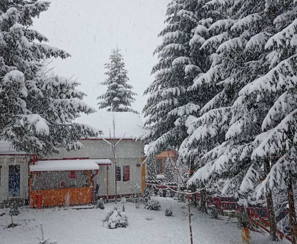 Cele două căsuțe din 1950, renovate de proprietar