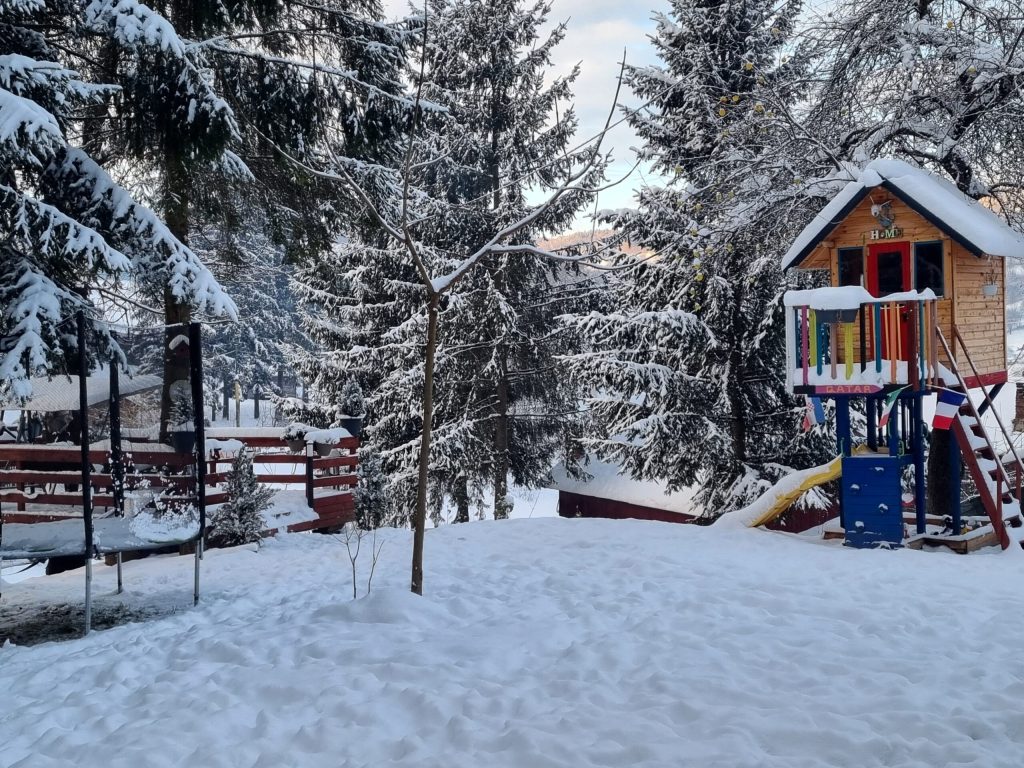 Căsuța din copac este o adevărată atracție pentru cei mici