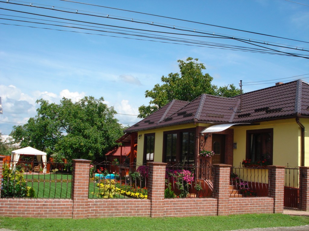 Alin a renovat și casa părintească, în 2008