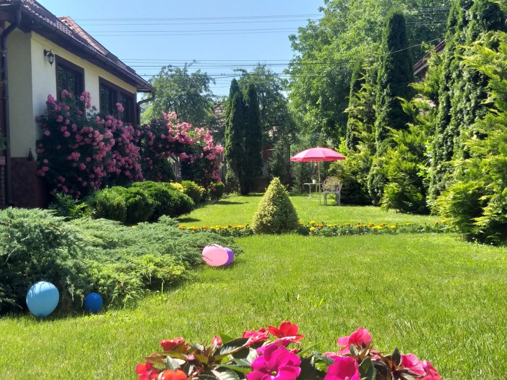 Odată cu renovarea, Alin a descoperit cât de mult îi place grădinăritul pur estetic