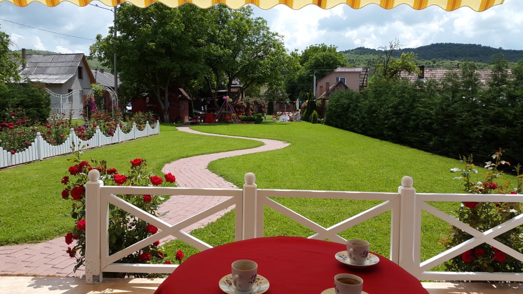 Odată cu renovarea, Alin a descoperit cât de mult îi place grădinăritul pur estetic