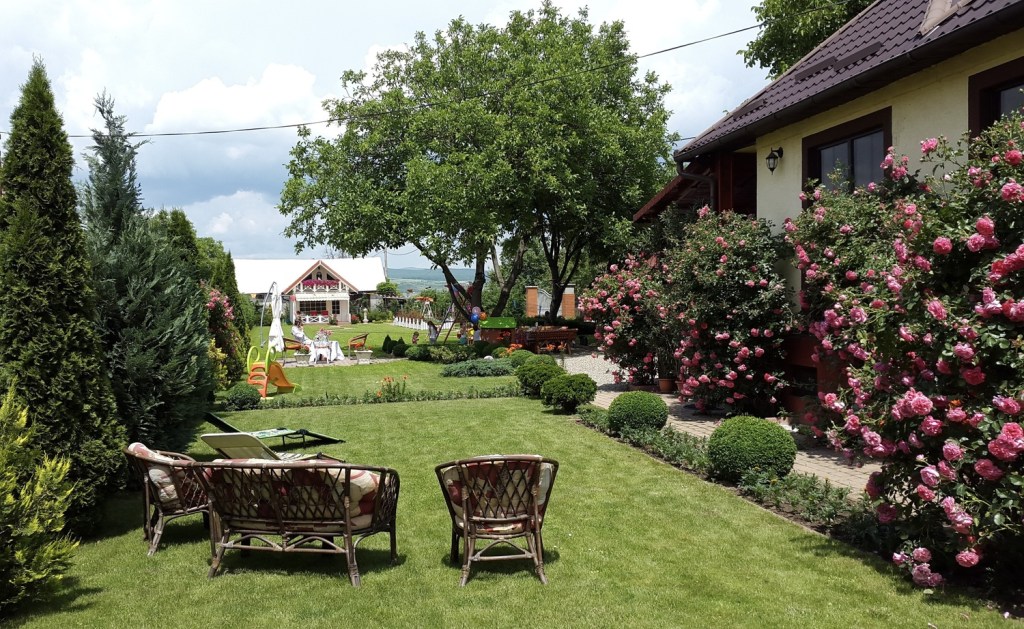 Alin a renovat și casa părintească, în 2008