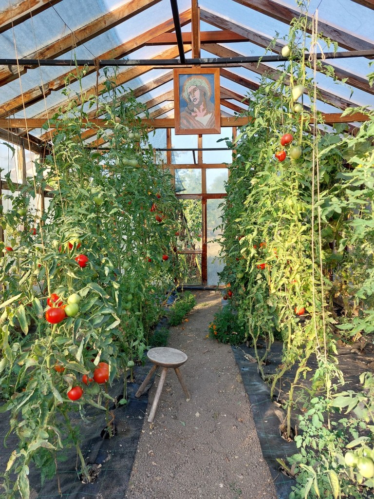 Cabana și curtea lui Dan
