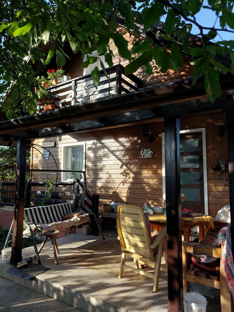Cabana și curtea lui Dan