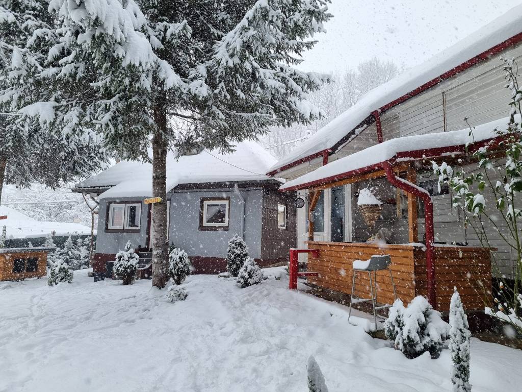Cele două căsuțe din 1950, renovate de proprietar
