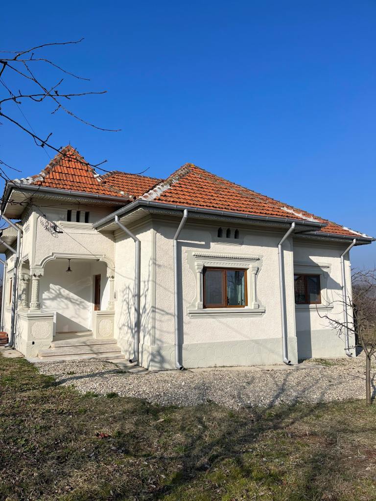 Liliana și-a dorit foarte tare să renoveze o casă veche