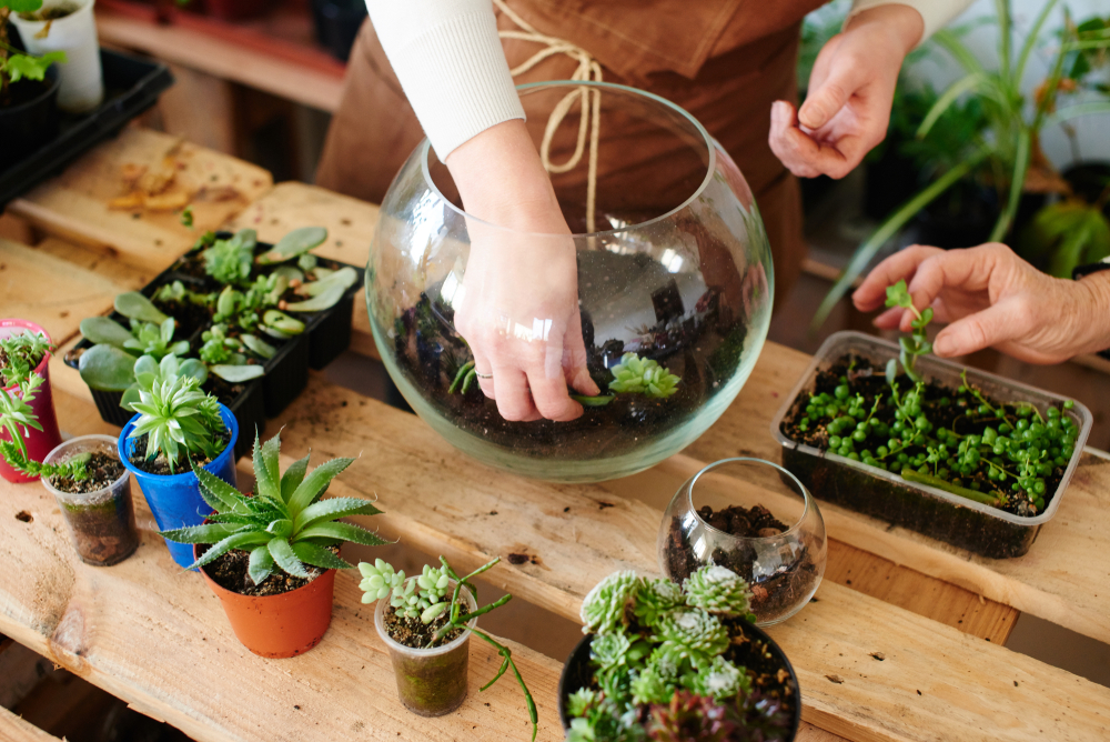 ingrijire terariu cu plante shutterstock