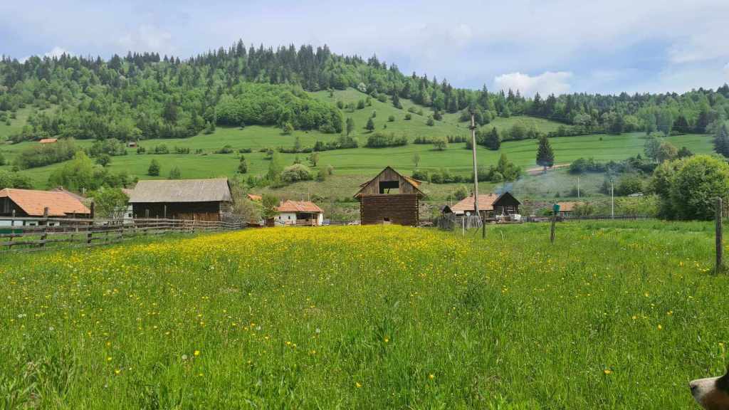 Attila și fiica lui s-au mutat la țară în pandemie