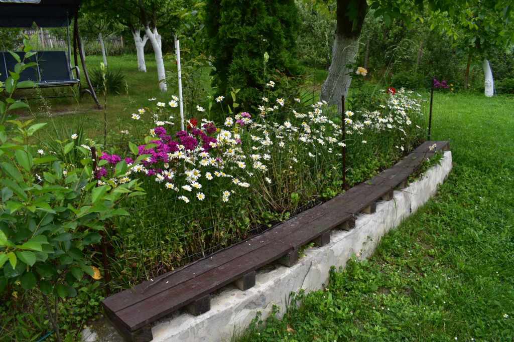 Proprietarii au o locuință înconjurată de verdeață și flori
