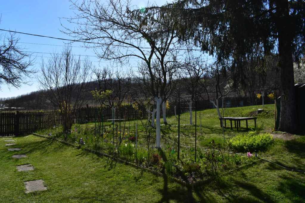Viața lor a căpătat sens și bucurie odată cu locuința de la țară