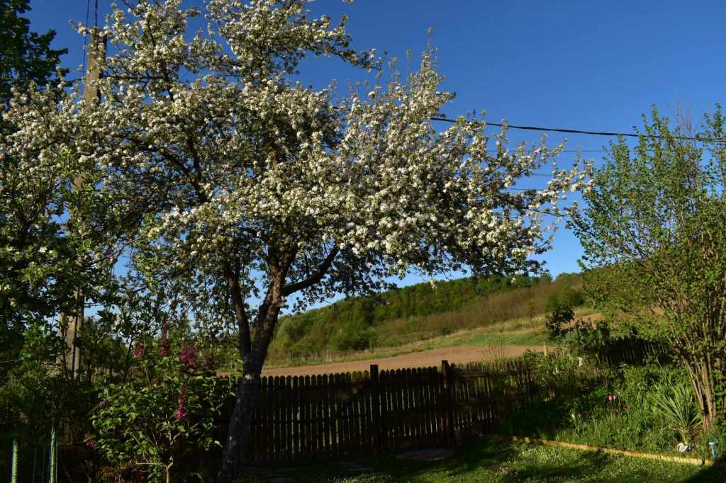 Viața lor a căpătat sens și bucurie odată cu locuința de la țară