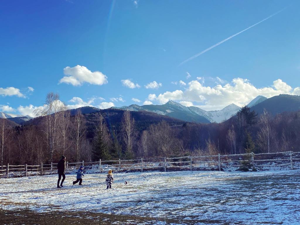 Casa este amplasată la poalele munților Făgăraș
