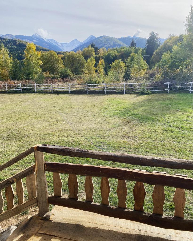 Investiția a depășit 100.000 de euro