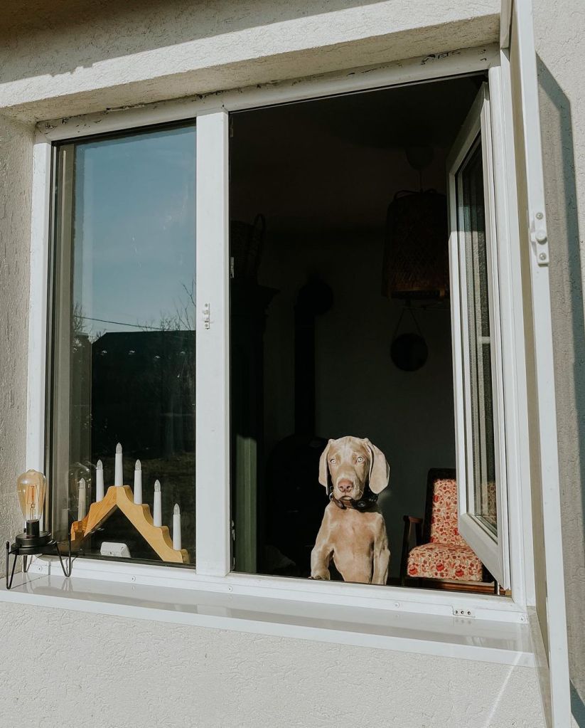 Locuința este semidecomandată, are două camere și o baie.
