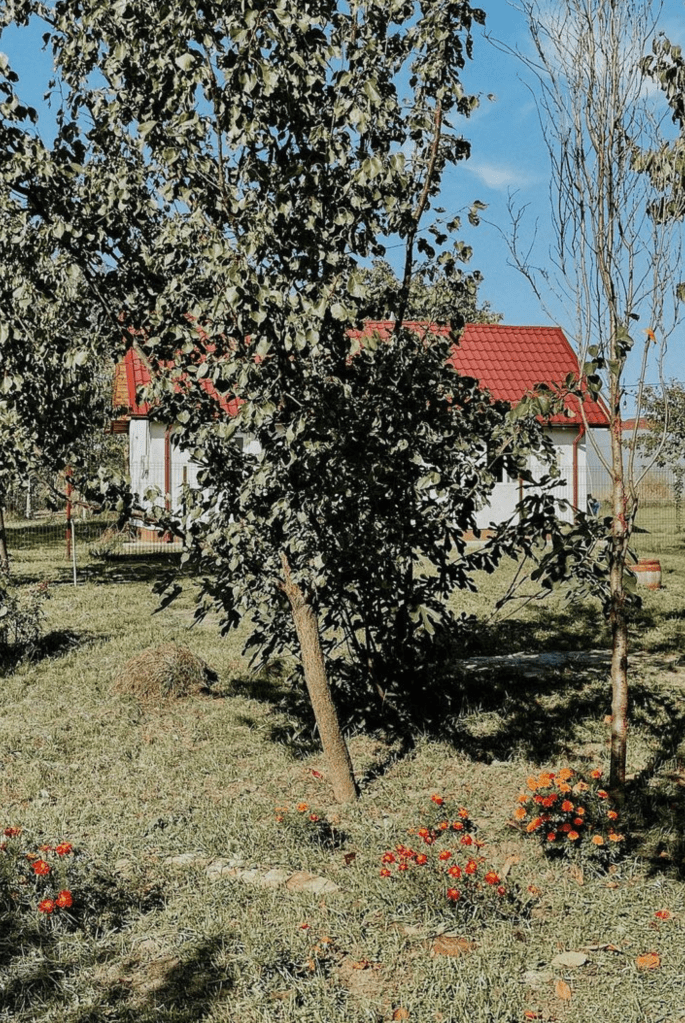 Locuința este semidecomandată, are două camere și o baie.