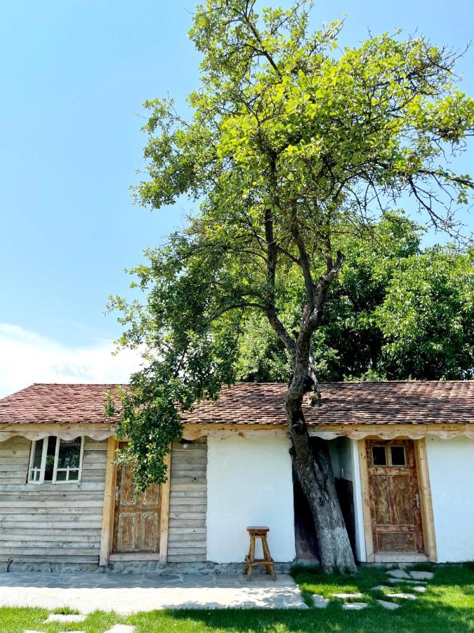 Joyard, o pensiune care a renăscut dintr-o locuință veche de peste 100 de ani