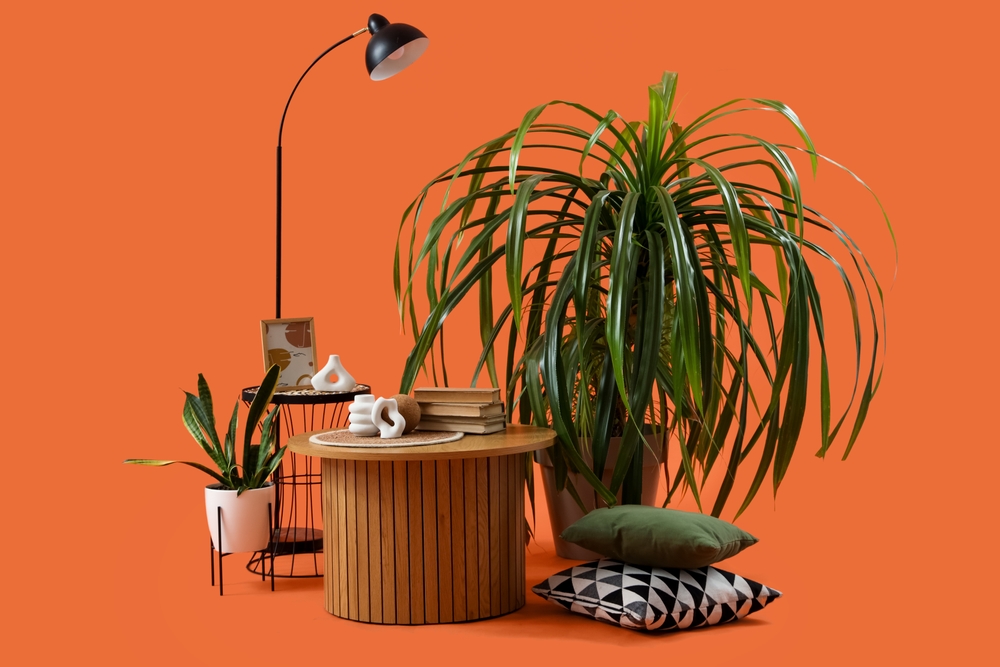 Aranjament cu plante, măsuță de cafea, lampadar și perne decorative pe fundal de studio oranj ars.