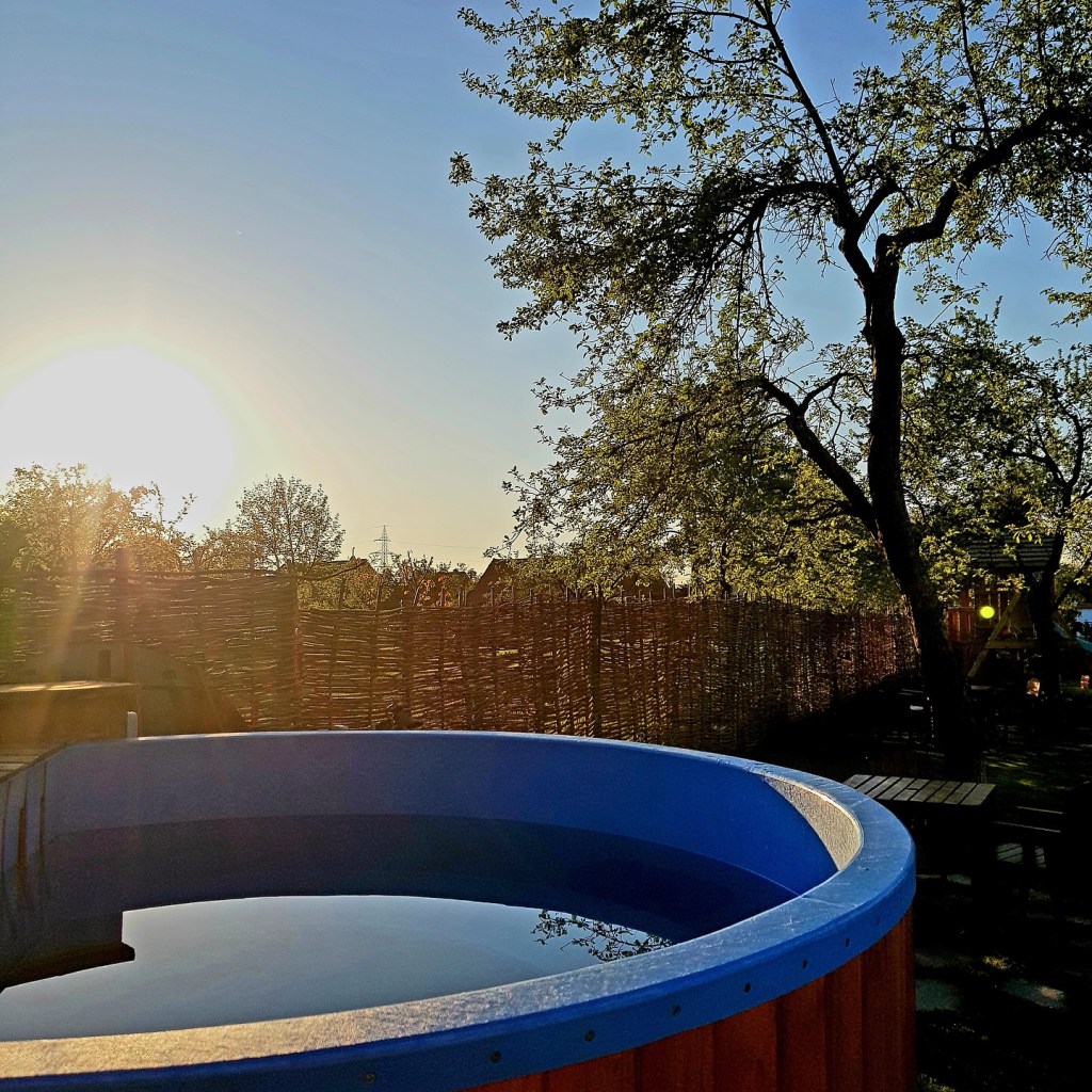 Adina și Claudiu sunt recunoscători pentru ce au și își doresc să aibă grijă de proiectul lor de suflet