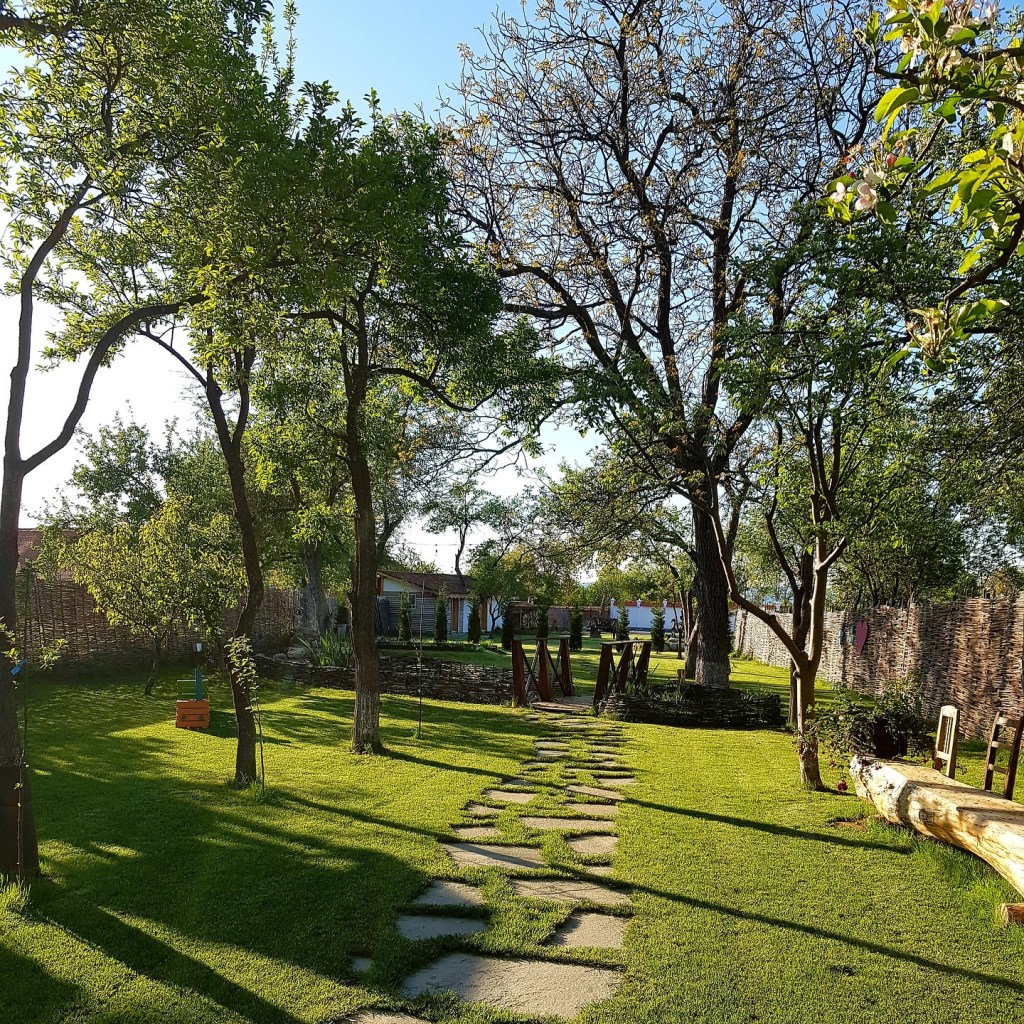 Adina și Claudiu sunt recunoscători pentru ce au și își doresc să aibă grijă de proiectul lor de suflet