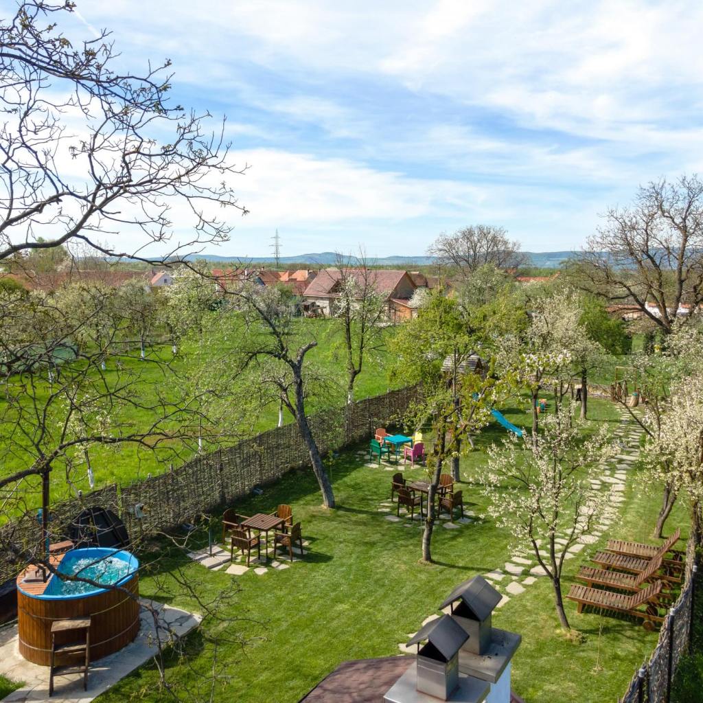 Adina și Claudiu sunt recunoscători pentru ce au și își doresc să aibă grijă de proiectul lor de suflet