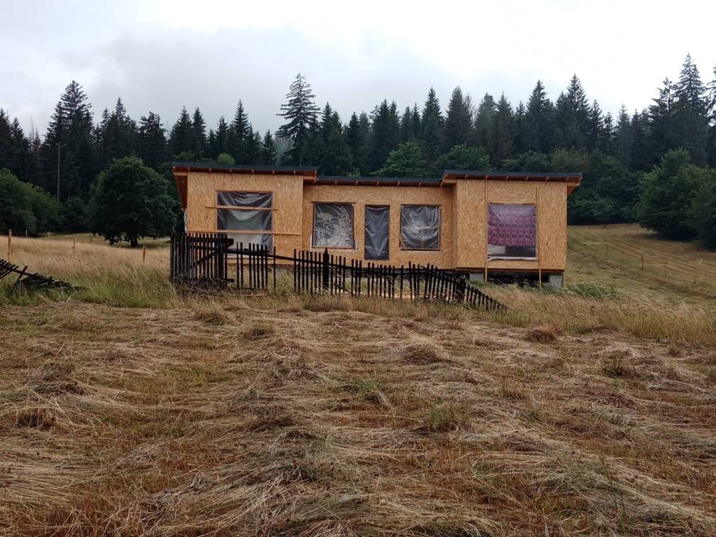 Proprietara a construit de la zero un tiny cozy, pe roți
