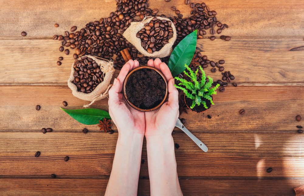 Mâini de femeie țin zaț de cafea deasupra unei mese din lmen pe care sunt boabe de cafea și plante.