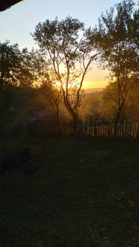 Căsuța este poziționată în mijlocul naturii