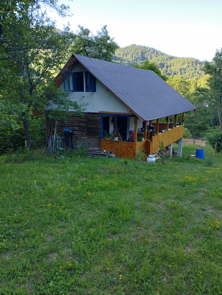 Deși cumpărată cu ani buni în urmă, procesul renovării a început abia în 2022