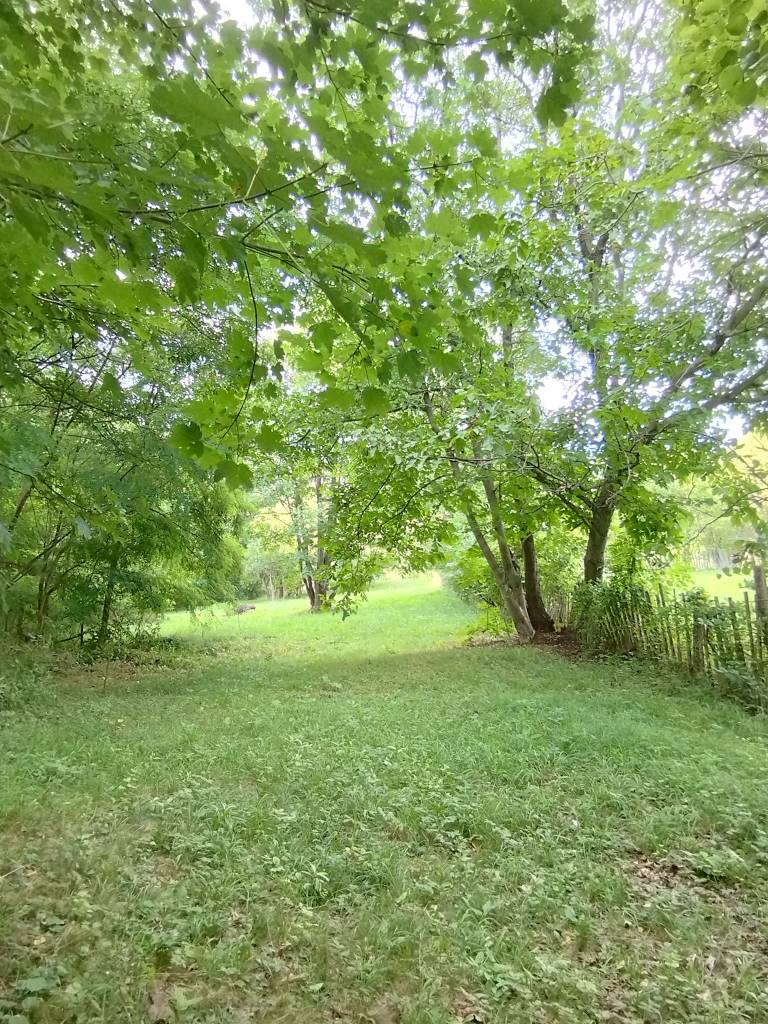 Căsuța este poziționată în mijlocul naturii