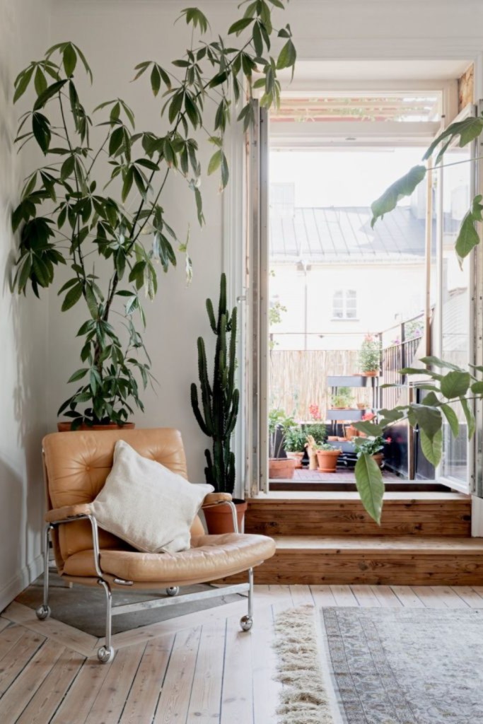 15 stilul scandinav plante 1