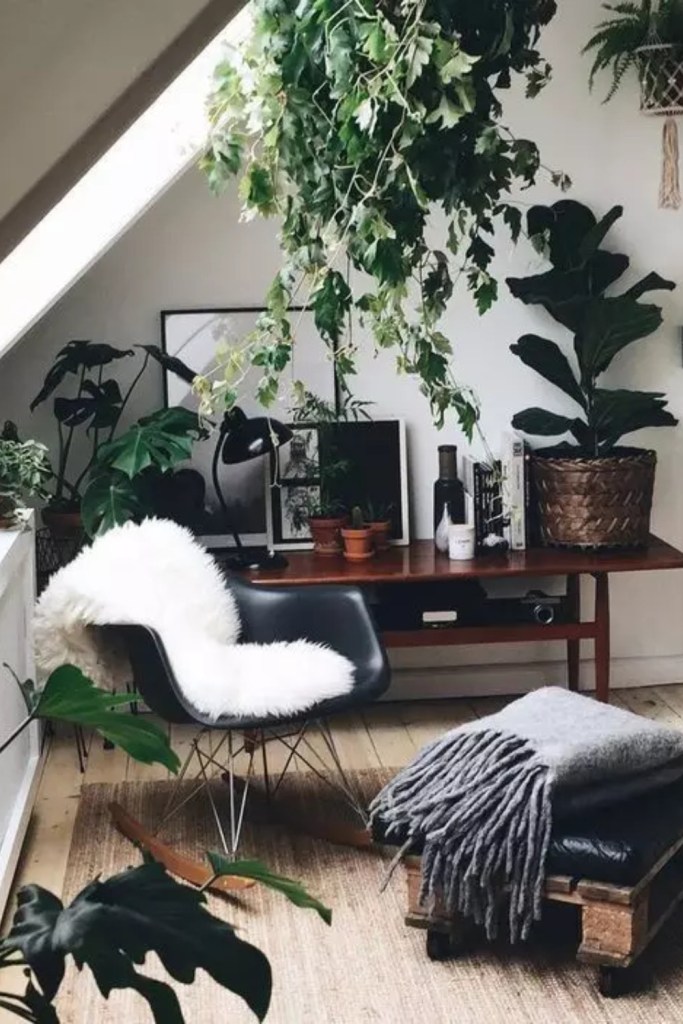 15 stilul scandinav plante 2