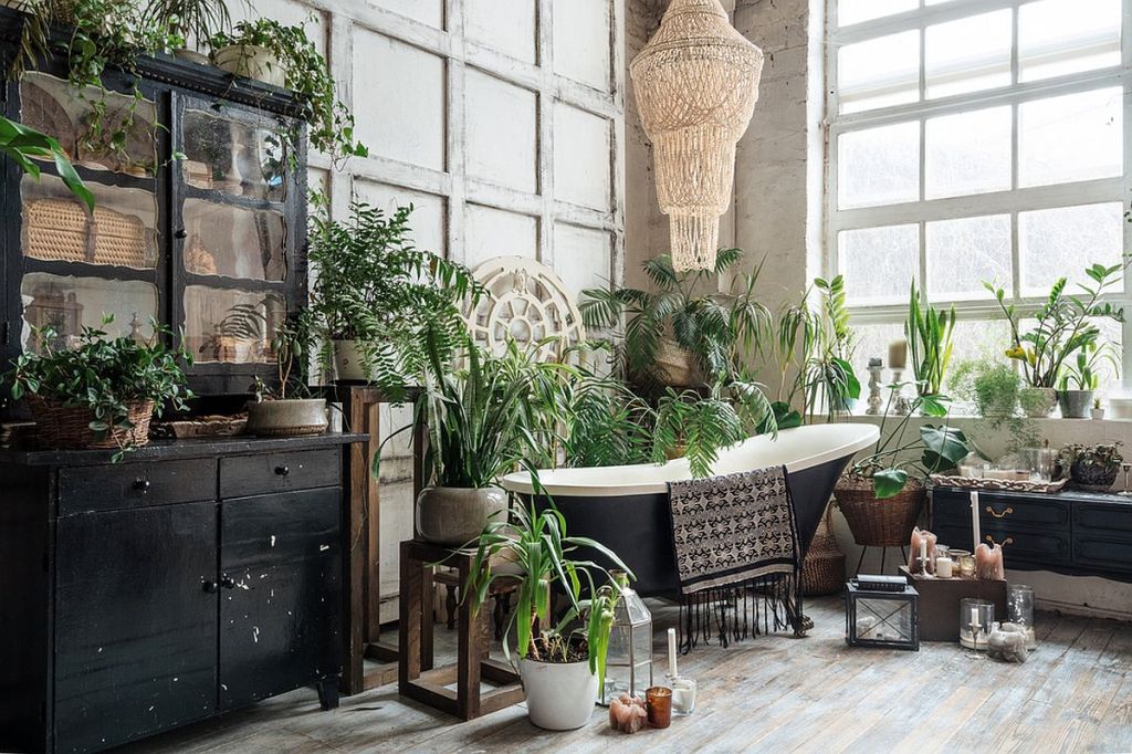 Plante care absorb umiditatea: o baie vintage cu candelabru și cadă freestanding, plină de plante luxuriante.