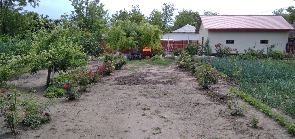 Modul în care s-a transformat curtea de-a lungul timpului