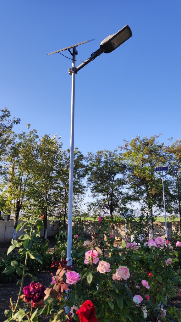 Lămpile solare care-i luminează curtea noaptea