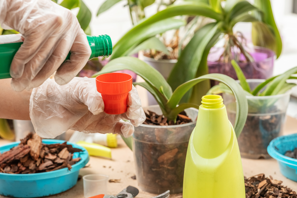 Mâini de femeie în mănuși albe pun fertilizator lichid într-un cap pentru a fi diluat cu apă pentru ghiveciul cu orhidee de lângă.