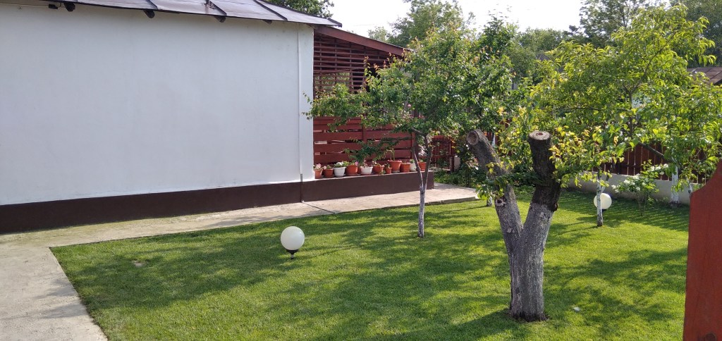 Proprietarul și-a dorit foarte tare să renoveze casa bunicii, locul unde s-a născut