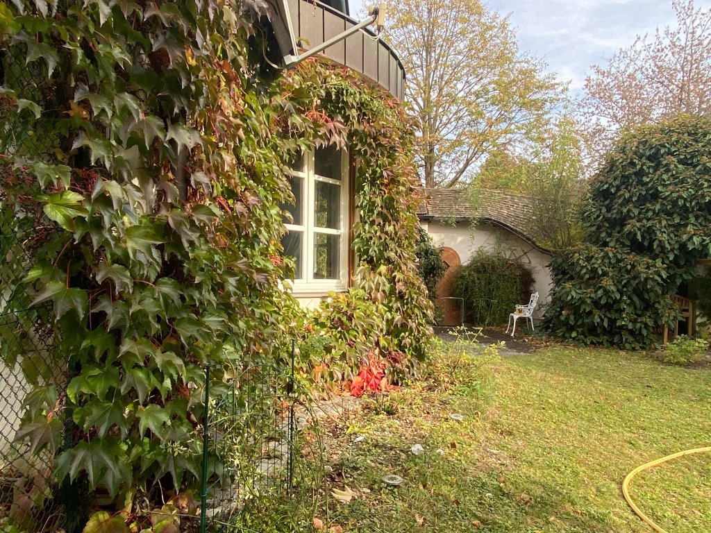 Proprietara adoră să petreacă timp în grădină