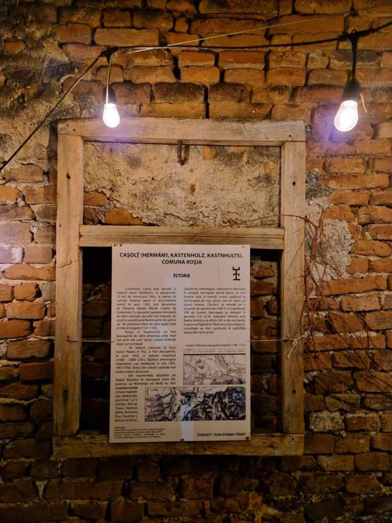 Cosmin locuiește la sat alături de fiul lui Albert