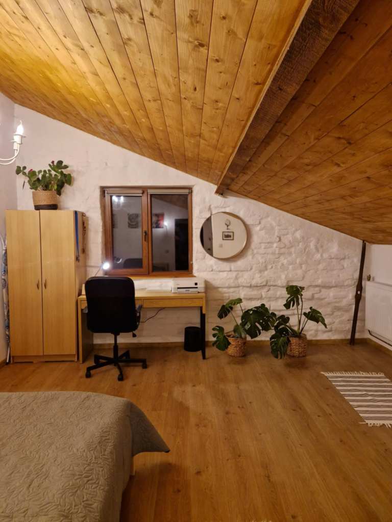 Cosmin locuiește la sat alături de fiul lui Albert