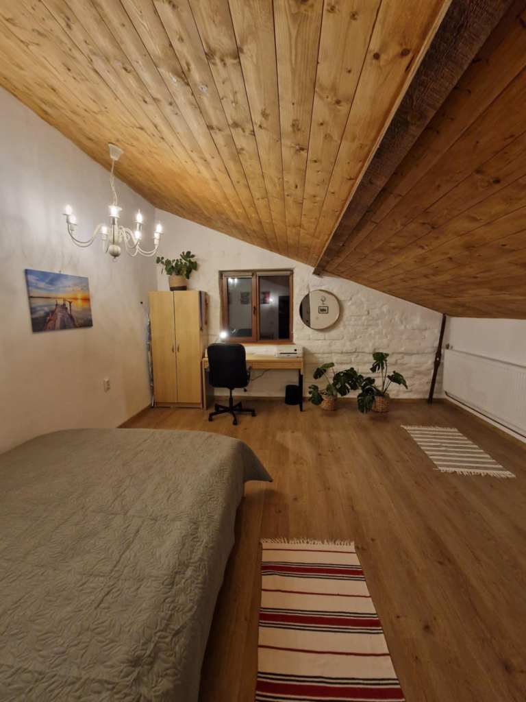 Cosmin locuiește la sat alături de fiul lui Albert